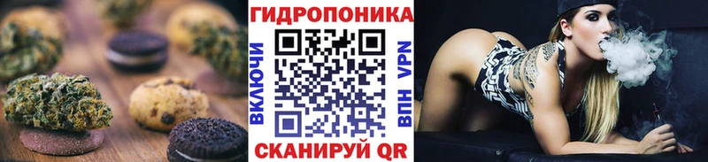 Купить закладки  Верхнеуральск  Canna-Cookies конопля 