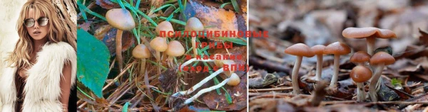 каннабис Козловка