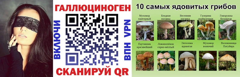 Купить где  Верхнеуральск  Галлюциногенные грибы Psilocybine cubensis 